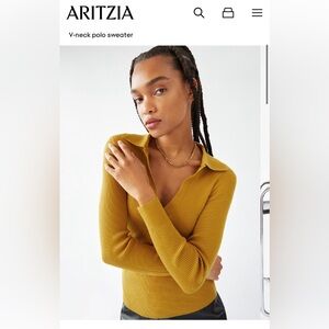 Aritzia Babaton Mcsweeney Sweater